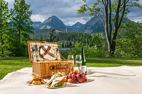 Gourmet picnic